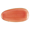 Platter Coral 13