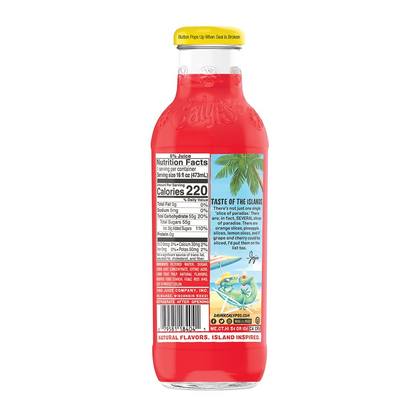 Calypso Paradise Punch Lemonade 16oz bottles Pack of 12