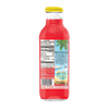 Calypso Paradise Punch Lemonade 16oz bottles Pack of 12