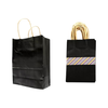 Paper Gift Bag with Handles For Party, Wedding, Event & Favor Bag