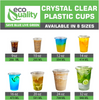 20oz Clear PLA Coffee Smoothies Cups with Flat Lids