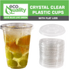 20oz Clear PLA Coffee Smoothies Cups with Flat Lids
