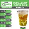 20oz Clear PLA Coffee Smoothies Cups with Flat Lids