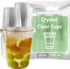 20oz Clear PLA Coffee Smoothies Cups with Flat Lids