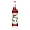 Monin Cherry Syrup 750 mL Bottle