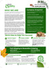 EcoQuality Wholesale Catalog Brochure