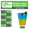 Disposable Pet Clear Plastic Smoothie Cups with Clear Dome Lids (10oz, 12oz, 14oz, 16oz, 20oz, 24oz)